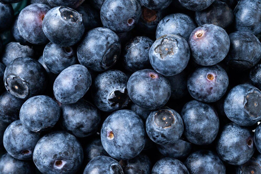 Blueberry - freepik.jpg