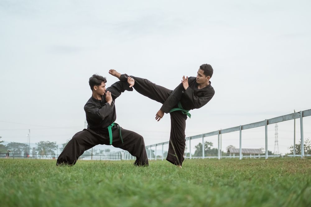 Pencak Silat.jpg